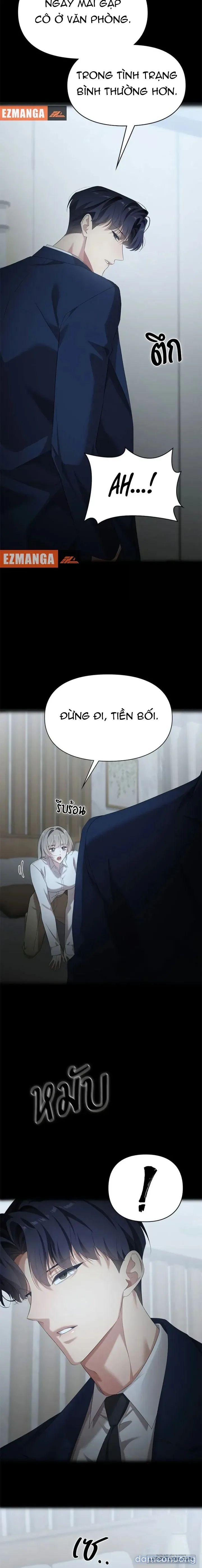 Vị Khách Trong Đêm 