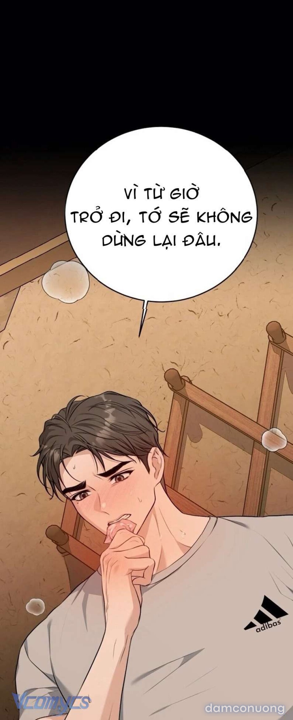 Cùng Làm Những Chuyện Điên Rồ 