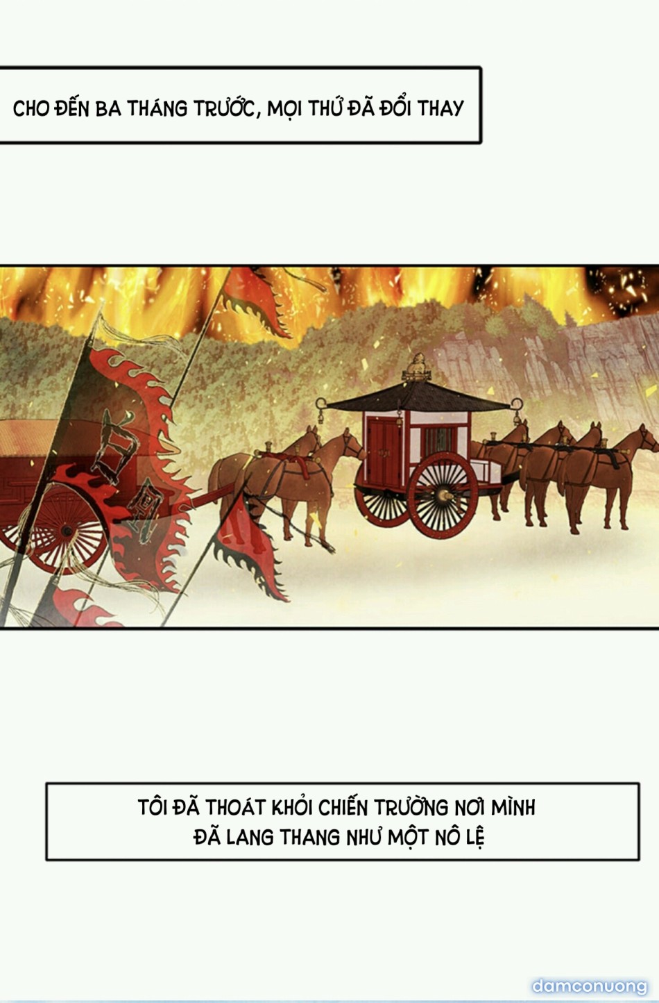 Đêm Hoang Dại 