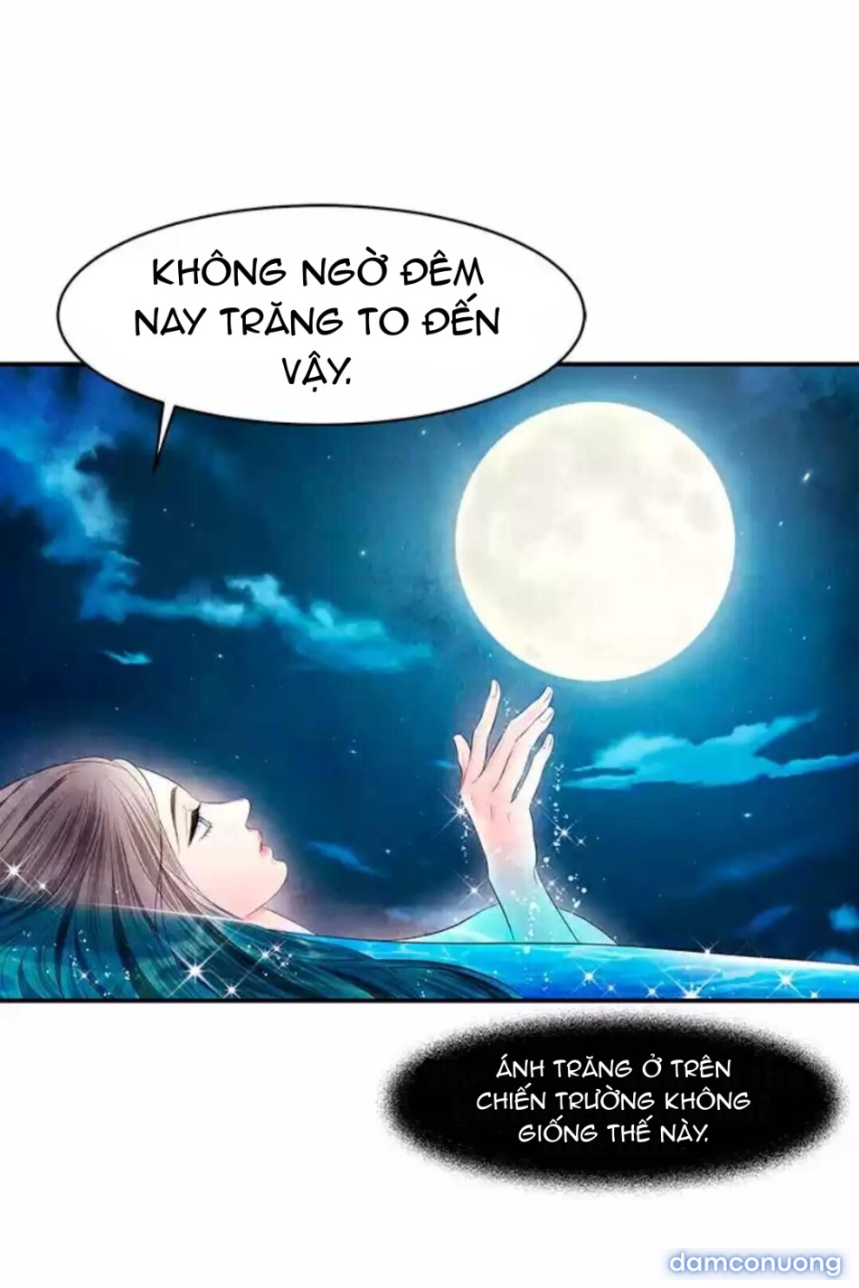 Đêm Hoang Dại 