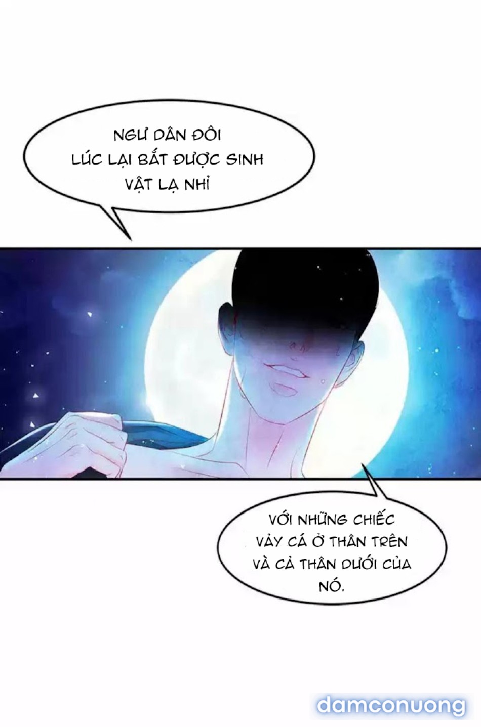 Đêm Hoang Dại 