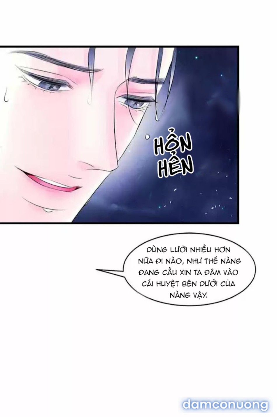 Đêm Hoang Dại 