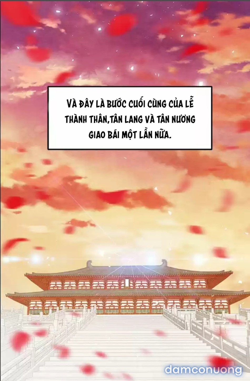 Đêm Hoang Dại 