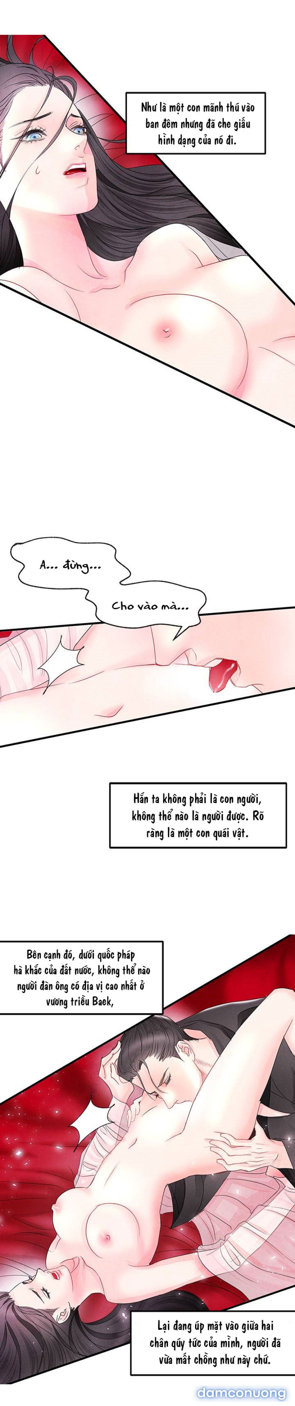 Đêm Hoang Dại 