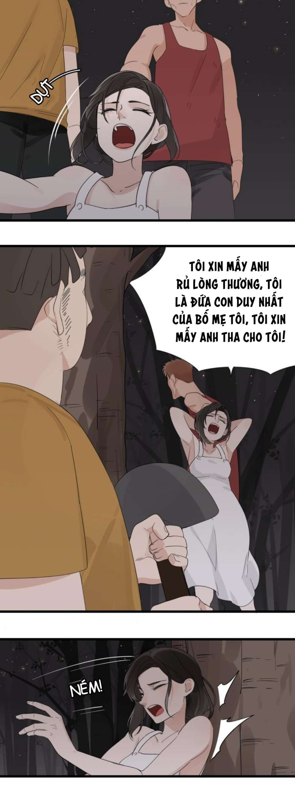 Vật Trong Tay 