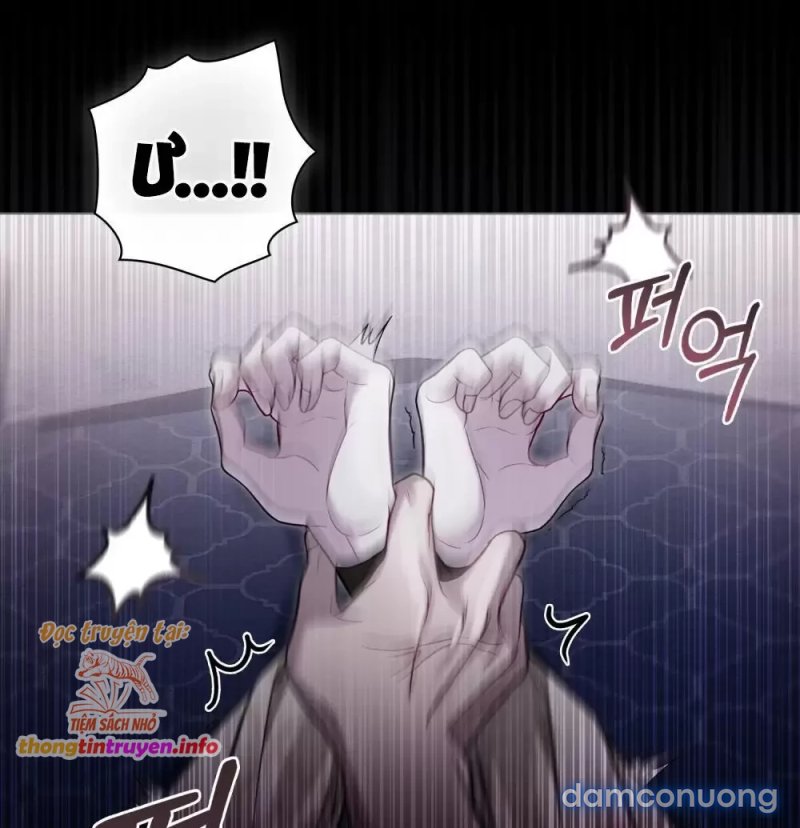 [18+] Búp Bê Phòng Ngủ Của Công Chúa 