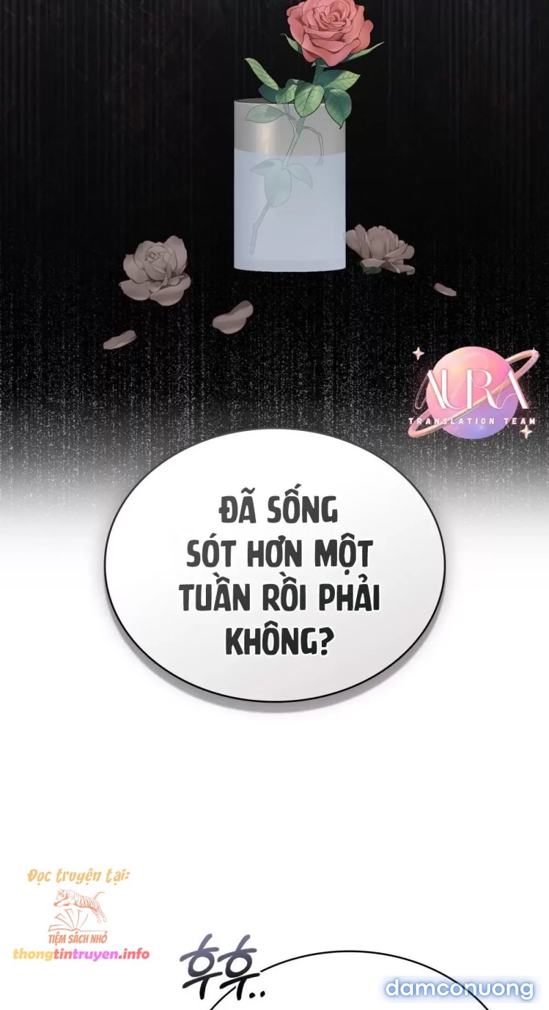 [18+] Búp Bê Phòng Ngủ Của Công Chúa 