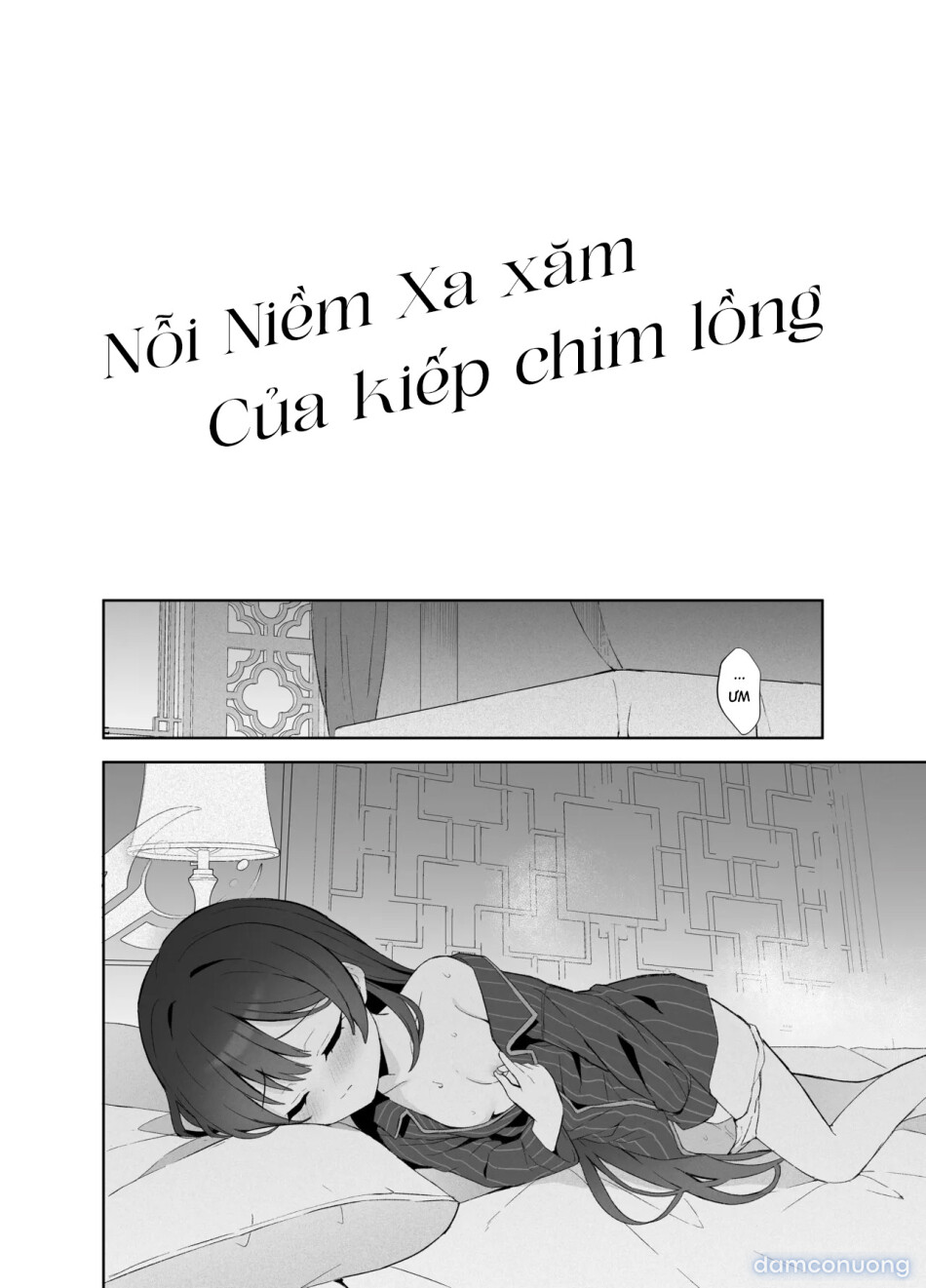 Nỗi niềm xa xăm của kiếp chim lồng 