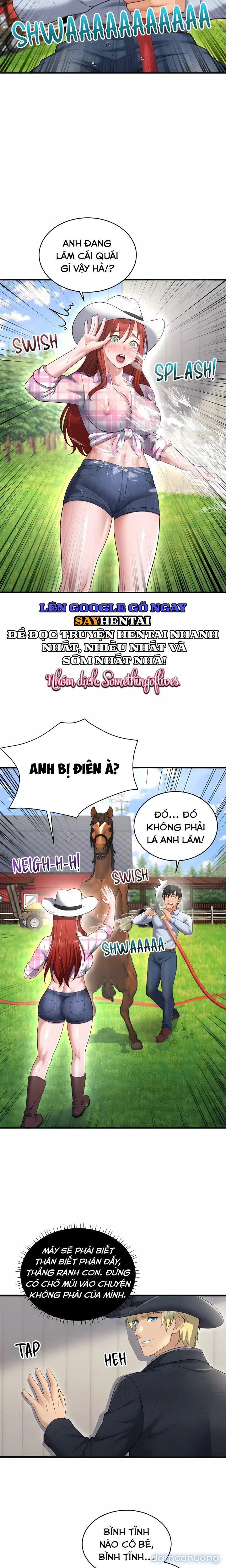 Đá Dục Vọng (KhôngChe) 