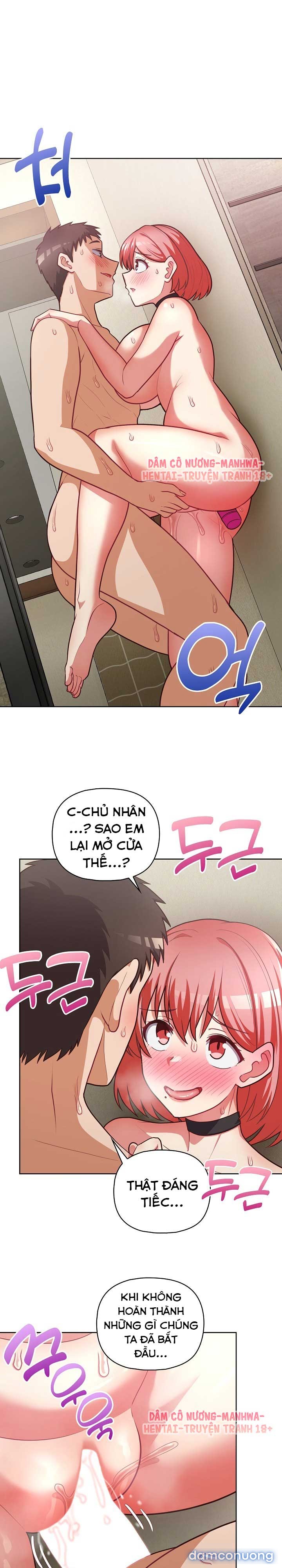 Công Ty Chết Tiệt 
