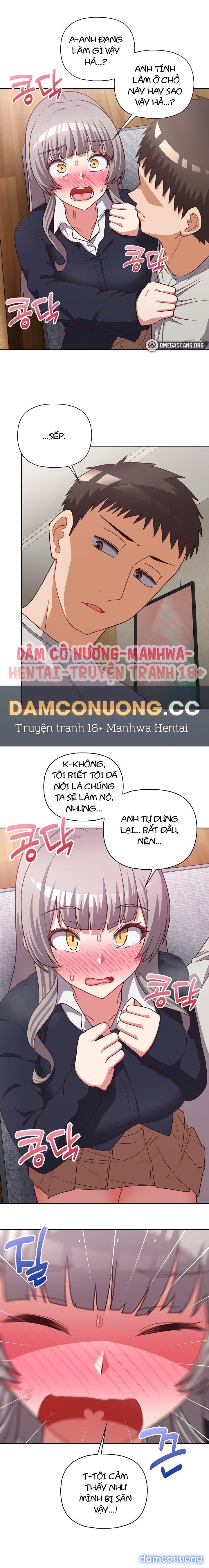 Công Ty Chết Tiệt 