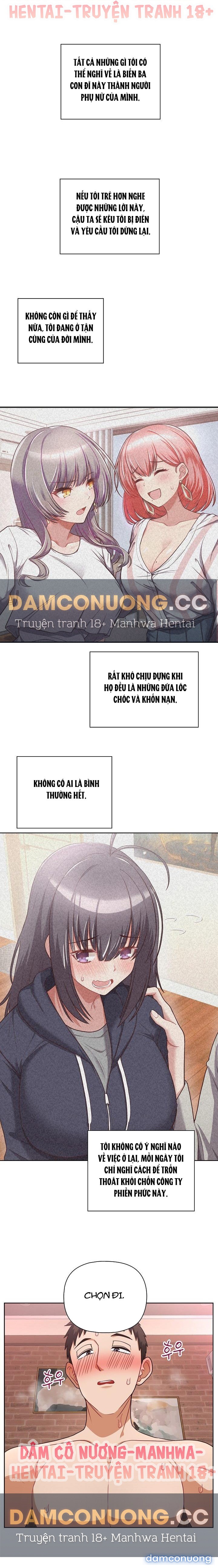 Công Ty Chết Tiệt 