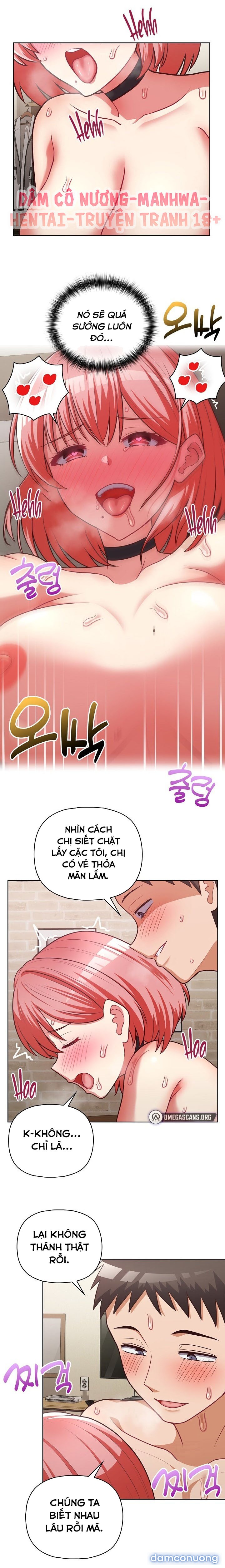 Công Ty Chết Tiệt 