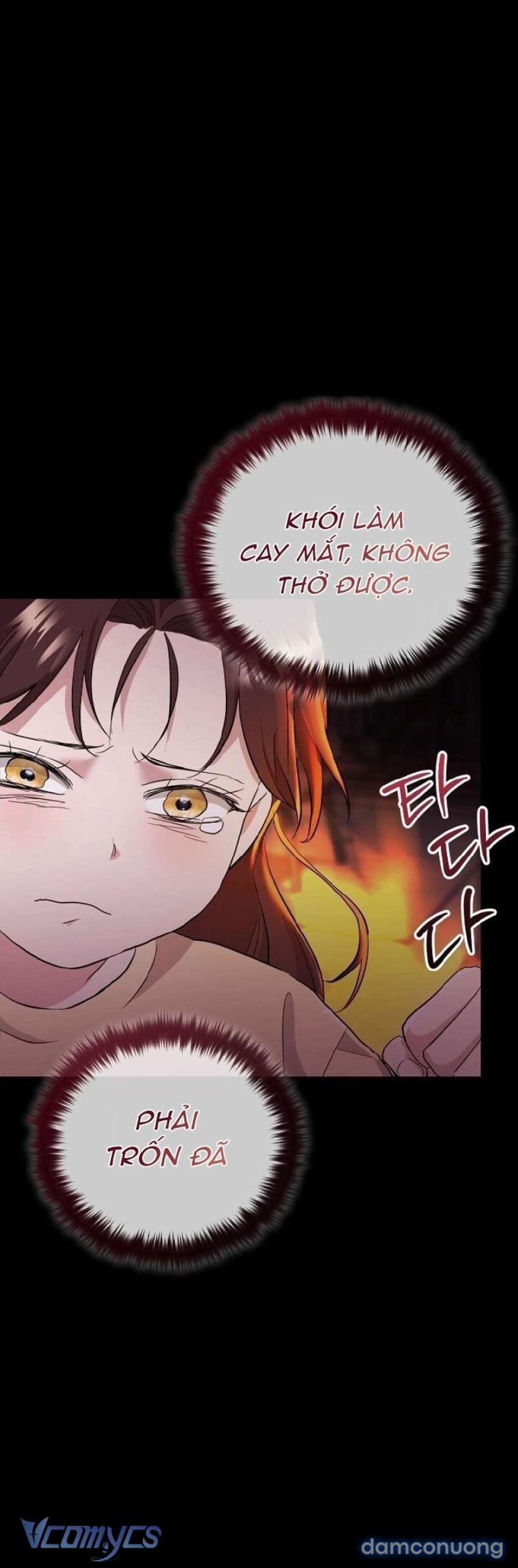 Thiêu Rụi 