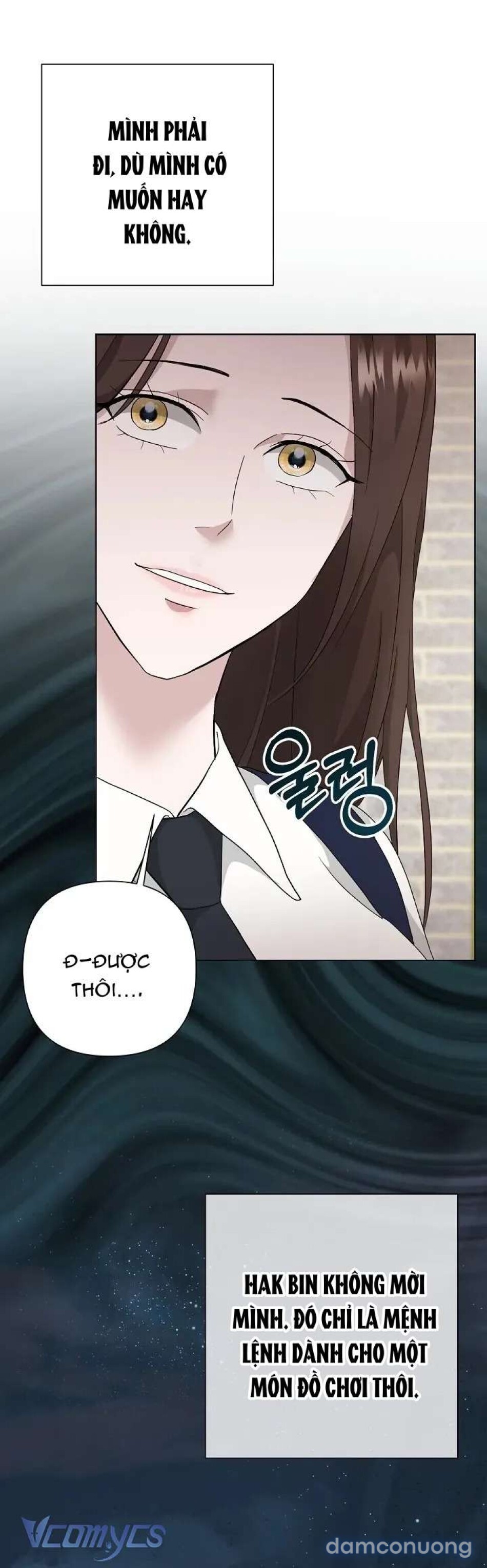 Thiêu Rụi 