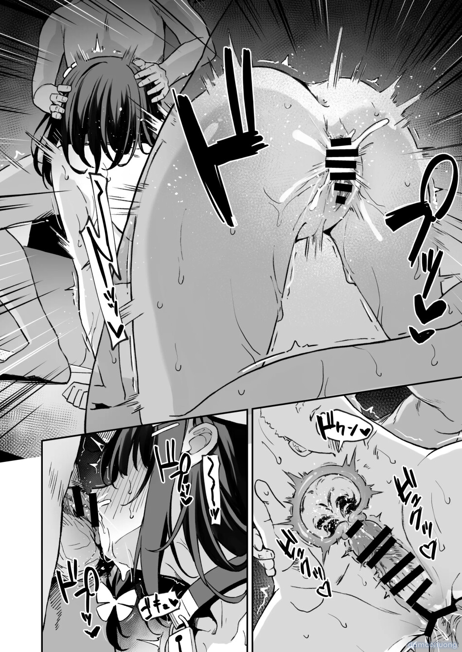 Ochiba Nikki 