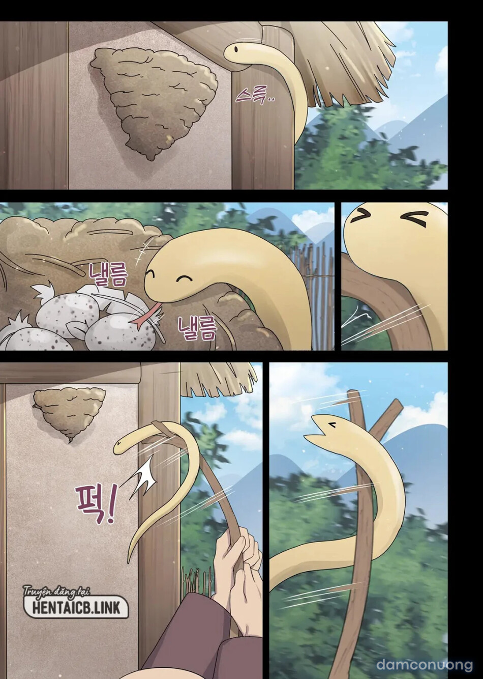 The swallow that repaid a favor 