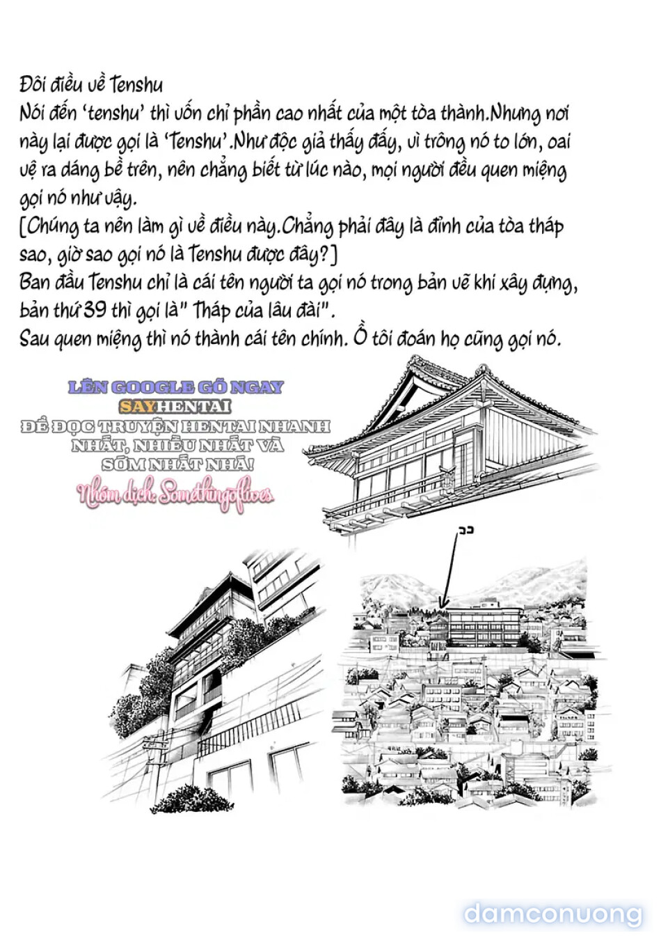 Đóa Hoa Ban Trưa Mối Tình Vụng Trộm Phần 5 