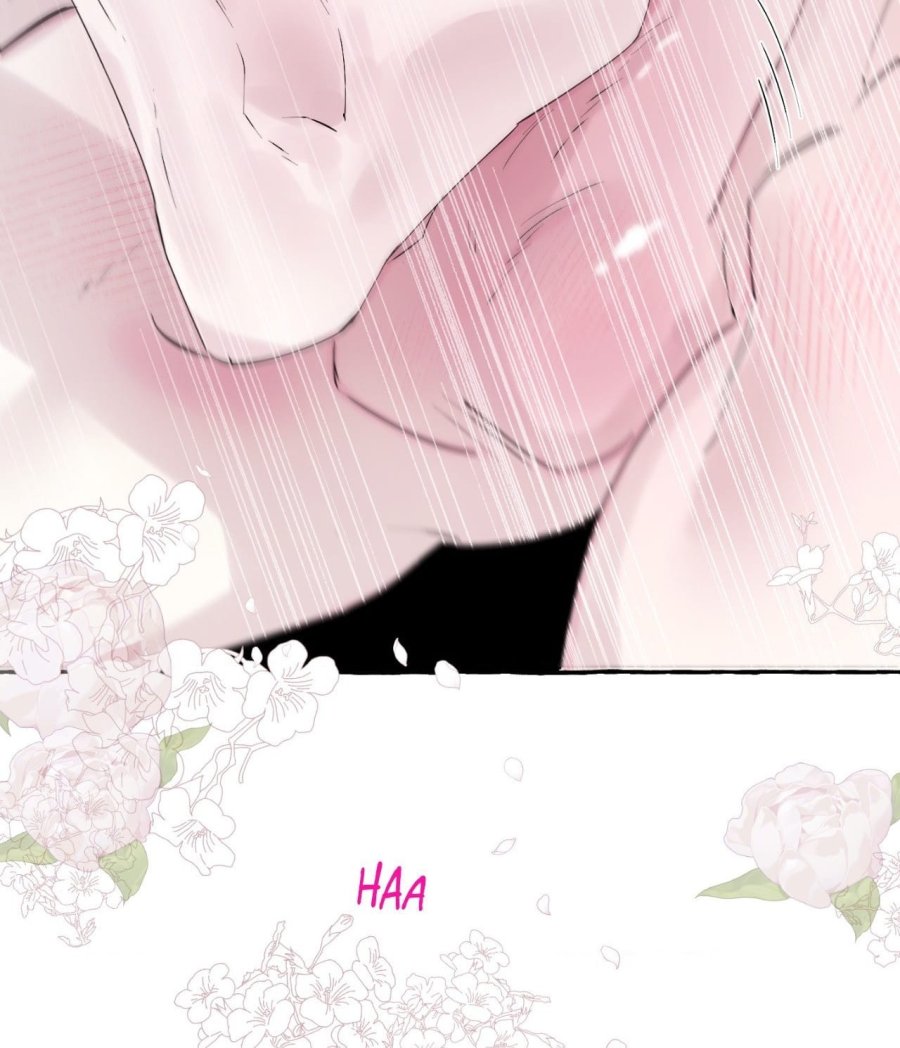[18+] Chó Sống Trong Khu Vườn Của Hoàng Cung 