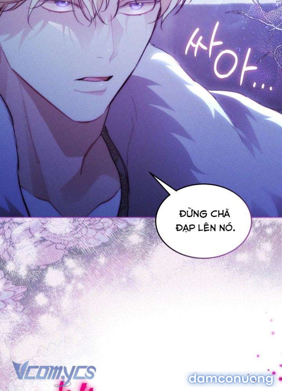 Tiếng Trống Vang Dội 