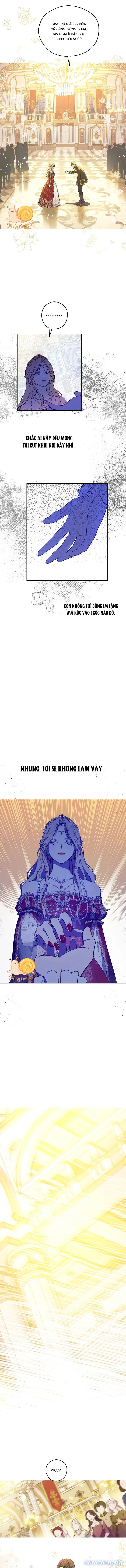 Cánh Đồng Bị Lãng Quên 