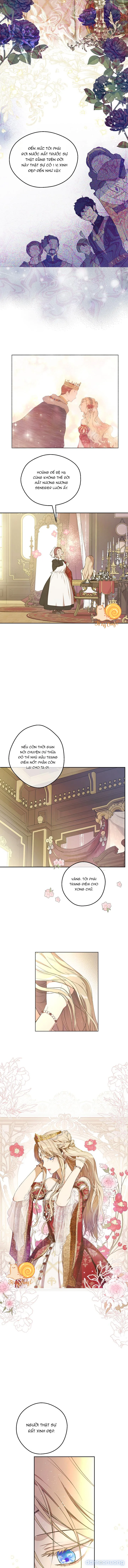 Cánh Đồng Bị Lãng Quên 
