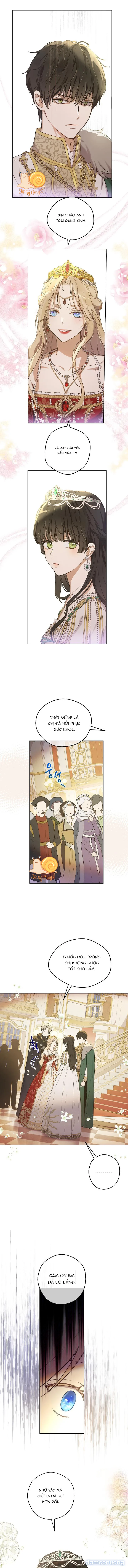 Cánh Đồng Bị Lãng Quên 