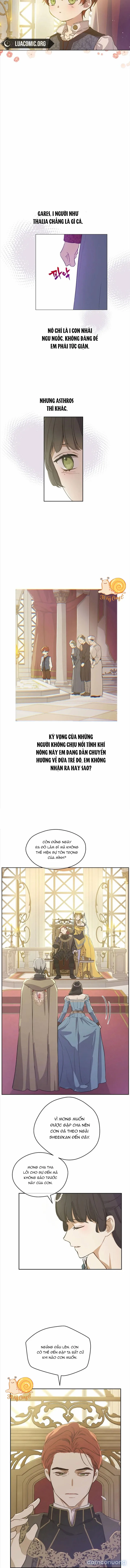Cánh Đồng Bị Lãng Quên 