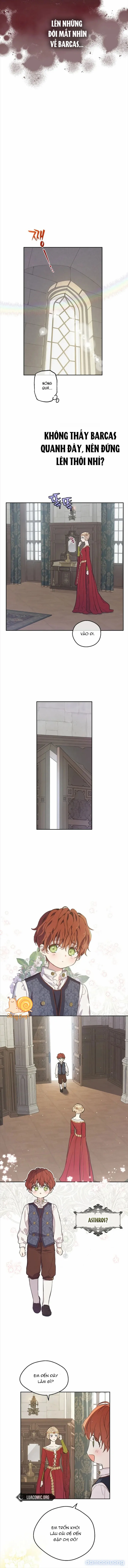 Cánh Đồng Bị Lãng Quên 
