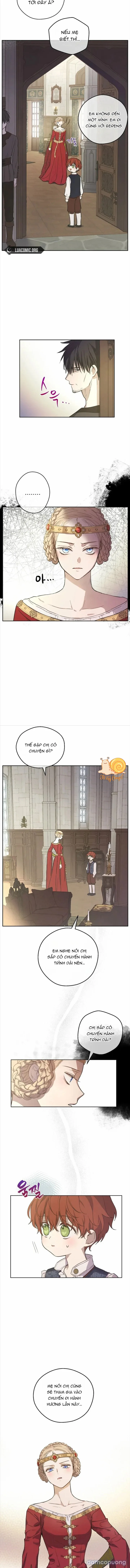 Cánh Đồng Bị Lãng Quên 