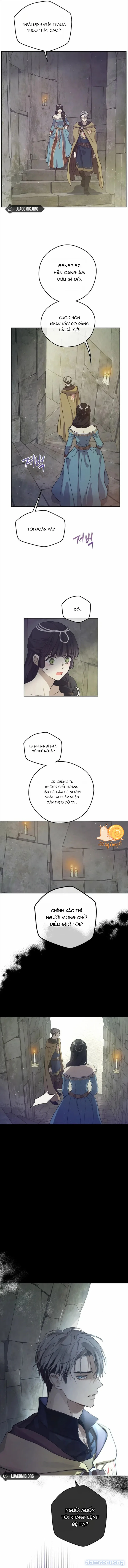 Cánh Đồng Bị Lãng Quên 