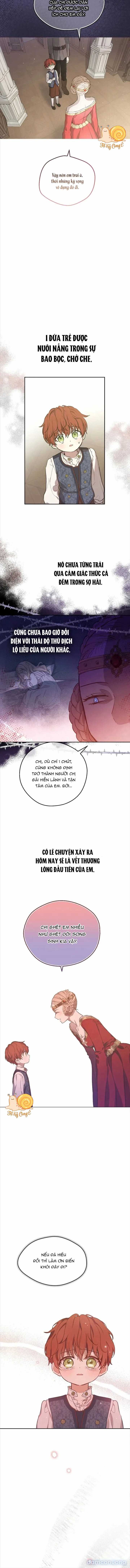 Cánh Đồng Bị Lãng Quên 