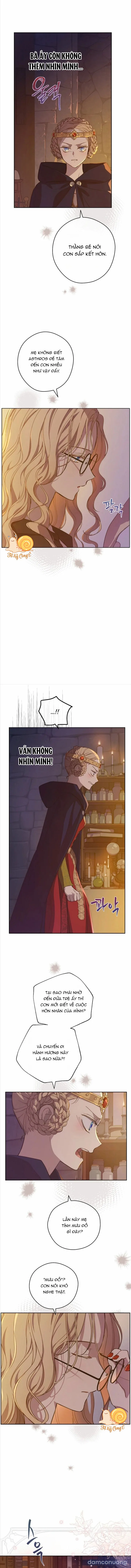 Cánh Đồng Bị Lãng Quên 