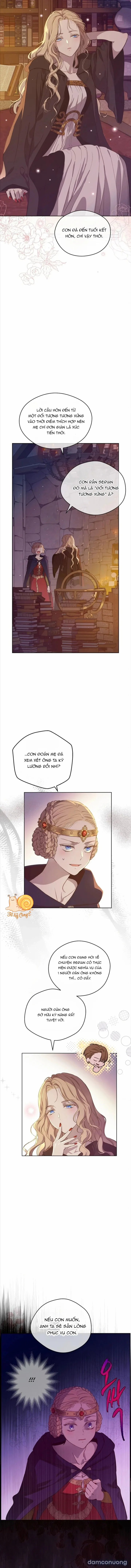 Cánh Đồng Bị Lãng Quên 