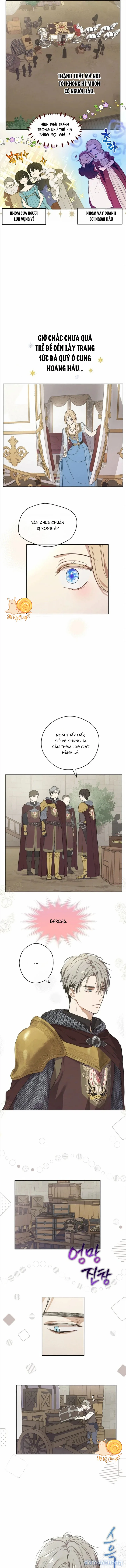 Cánh Đồng Bị Lãng Quên 