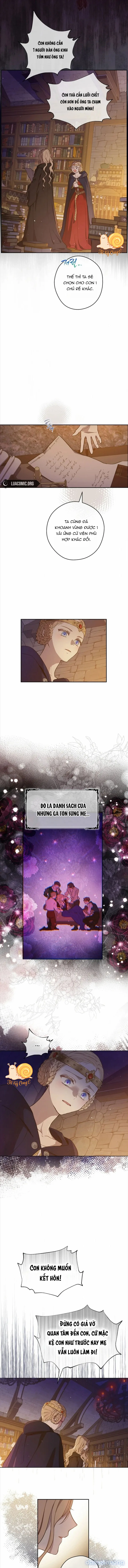 Cánh Đồng Bị Lãng Quên 