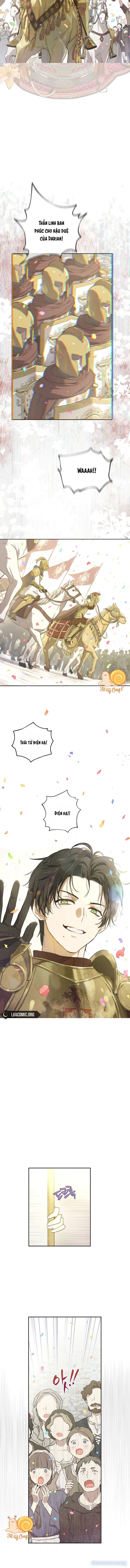 Cánh Đồng Bị Lãng Quên 