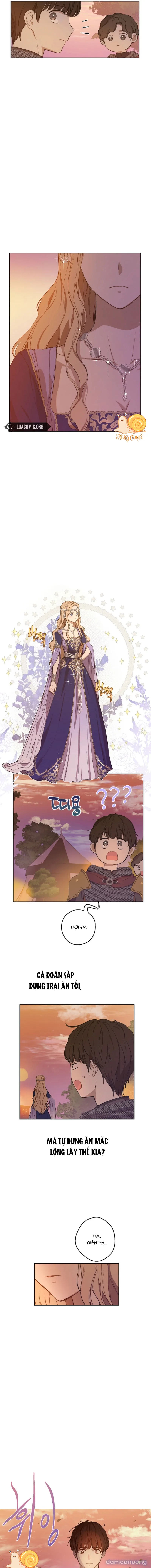 Cánh Đồng Bị Lãng Quên 