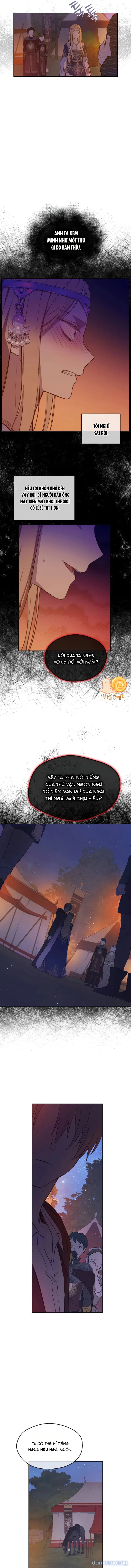 Cánh Đồng Bị Lãng Quên 
