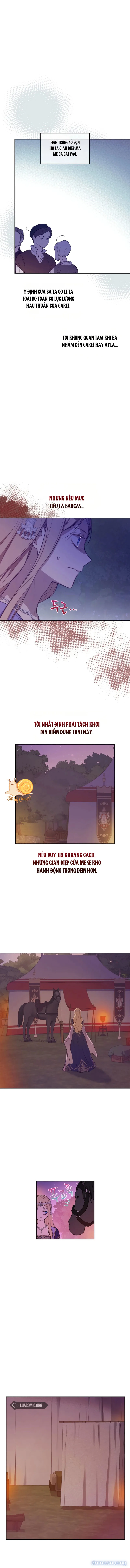 Cánh Đồng Bị Lãng Quên 