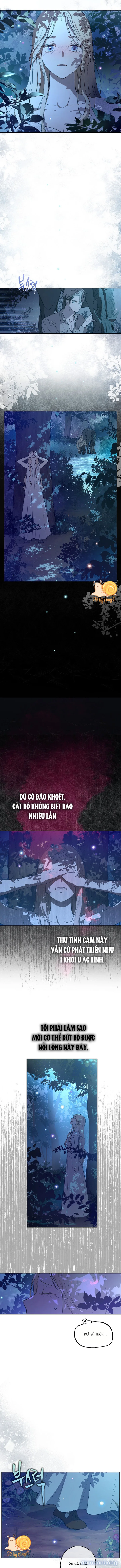 Cánh Đồng Bị Lãng Quên 