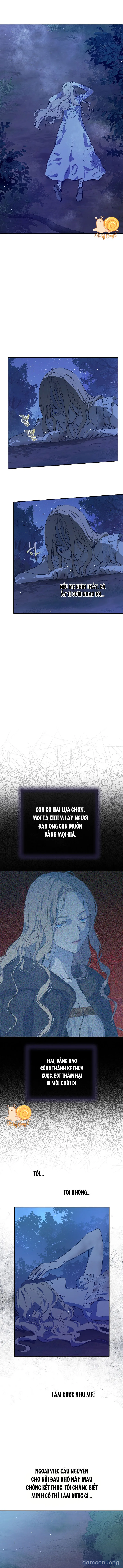 Cánh Đồng Bị Lãng Quên 
