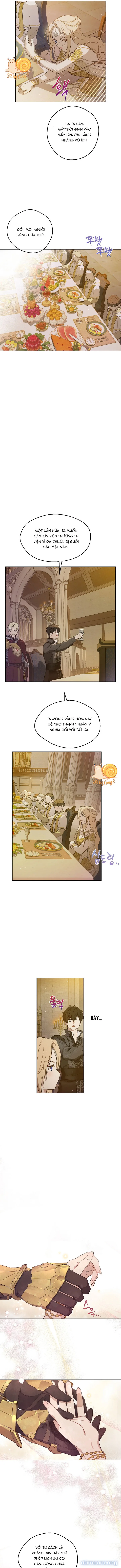 Cánh Đồng Bị Lãng Quên 