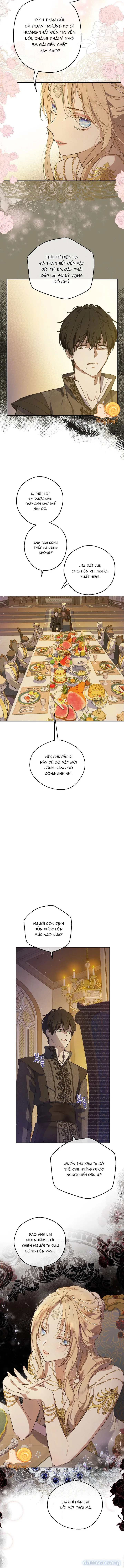 Cánh Đồng Bị Lãng Quên 