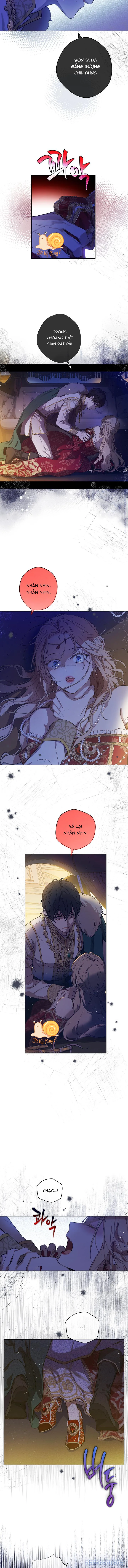 Cánh Đồng Bị Lãng Quên 