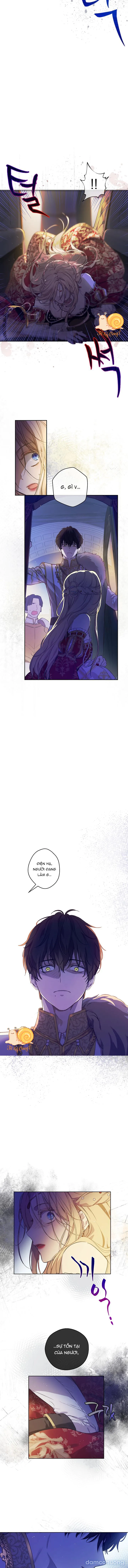 Cánh Đồng Bị Lãng Quên 