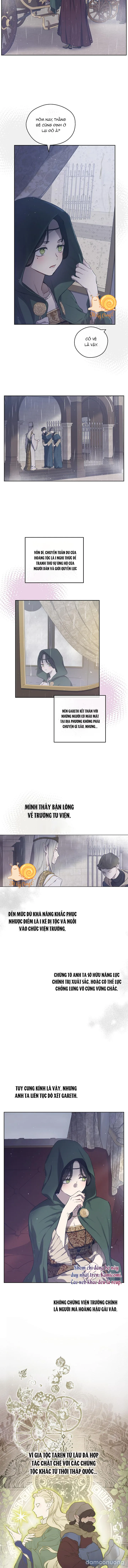 Cánh Đồng Bị Lãng Quên 