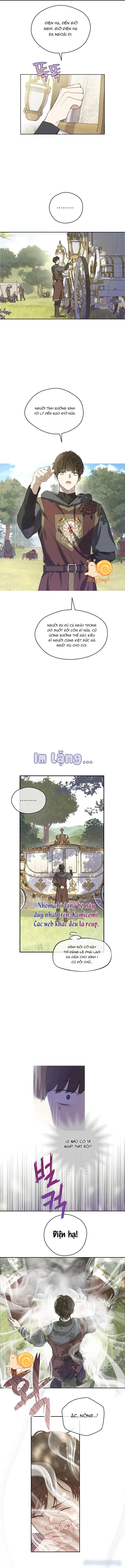 Cánh Đồng Bị Lãng Quên 