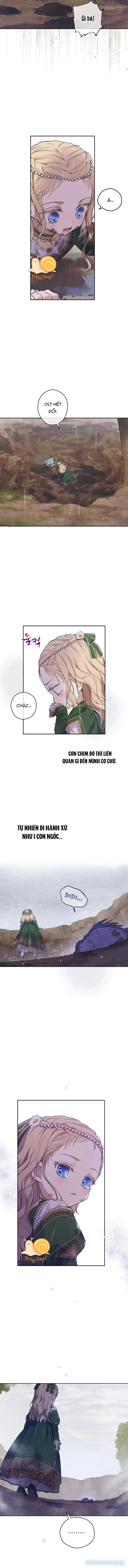 Cánh Đồng Bị Lãng Quên 