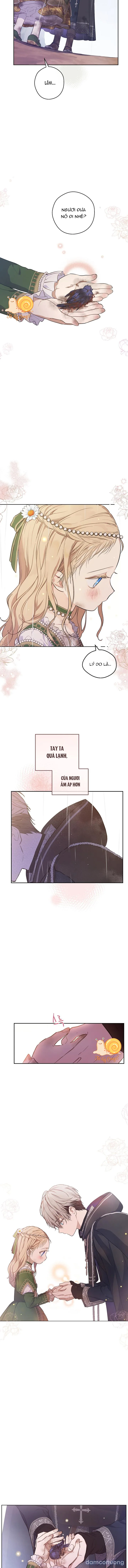 Cánh Đồng Bị Lãng Quên 